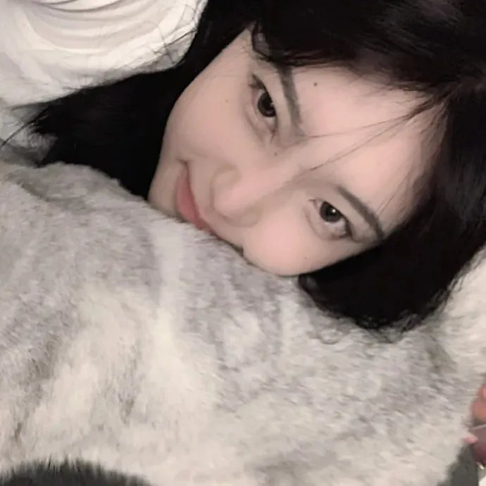 亲爱的莱蒙·利玛